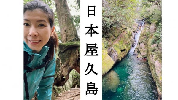 來趟日本屋久島 Yakushima Island 的登山之旅尋找魔法公主吧！