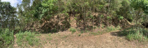 20250503屏東保和以山2781436