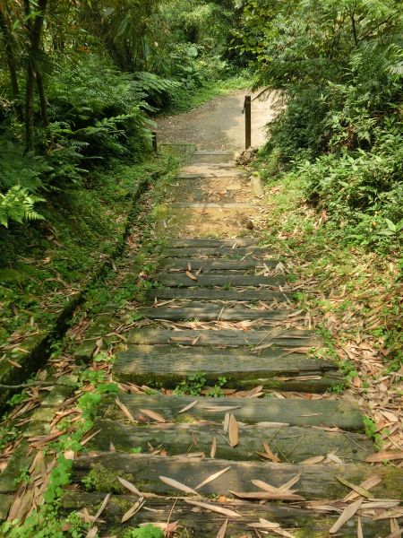 樟湖步道．待老坑山．優人神鼓311021