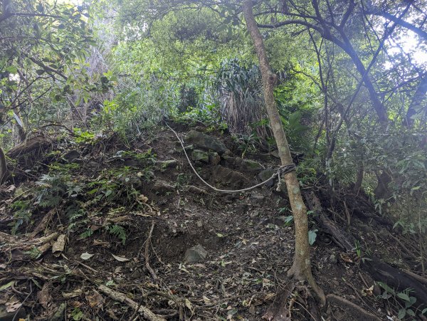 陡峭難行的三腳南山(小百岳#65)。無敵視野的太師椅及曾文水庫1844125