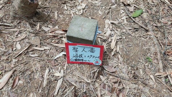 聖人瀑布➡️聖人崙➡️雙溪山+梅花五弄➡️帕米爾公園➡️聖人橋O型2797048