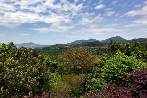 大崙頭尾山｜小百岳2756496