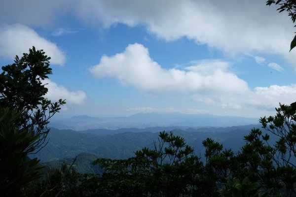 桃園復興區  東卡O縱2823813