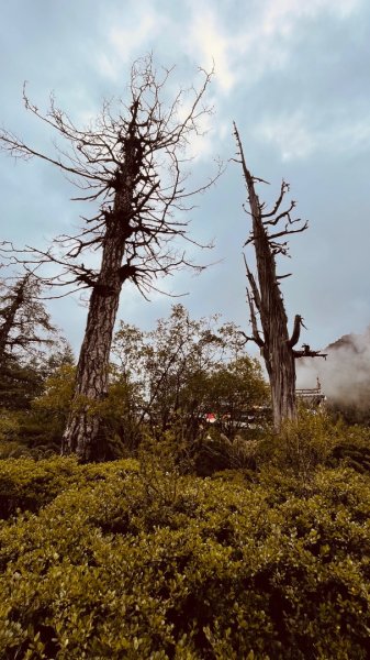 川藏深度之旅33天/A行程2901422