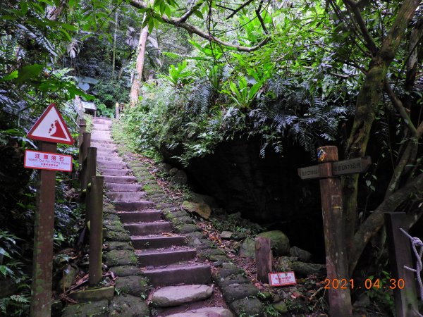 花蓮 撒固兒步道1368090