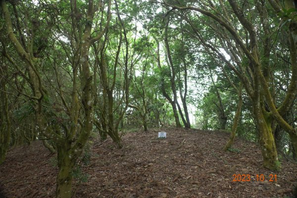 南投 烏來山、南阿冷山、中阿冷山、阿冷山東南峰2325529