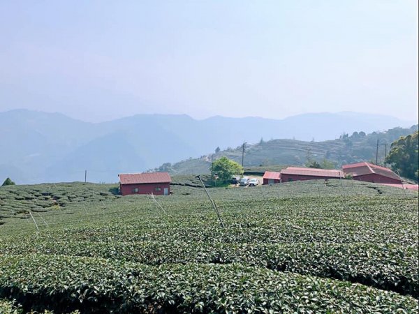 2021埔里六秀_ 關刀山、南東眼山1559733