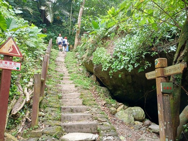 【花蓮】 楓林步道好視野x撒固兒步道、撒固兒瀑布超沁涼2247904