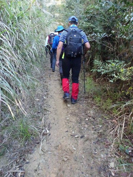 2022年02月13日(彰山協)南投日月潭四兄妹之中級山~大尖山縱走水社大山1613339