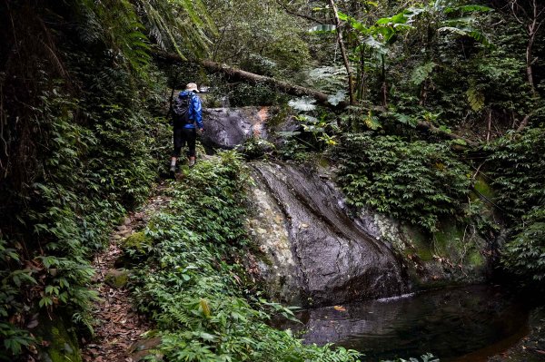 新竹石牛山步道｜小百岳2756515