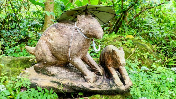 白雲派出所。蒙格不驚2759927