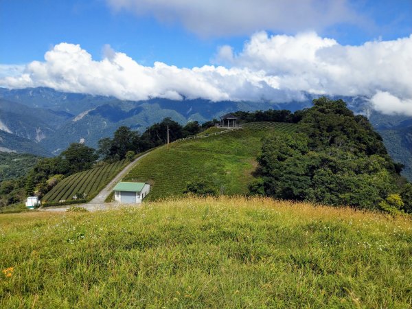 太麻里山(小百岳#94)《金針花季末期》1467630