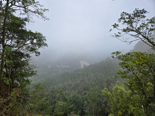 石硦林場（桶頭山）2991260