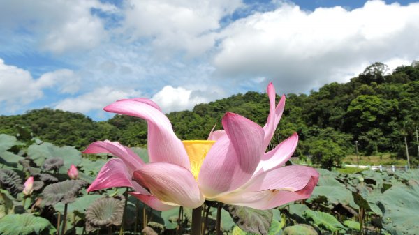 東北角風景區/上山下海趣31063978