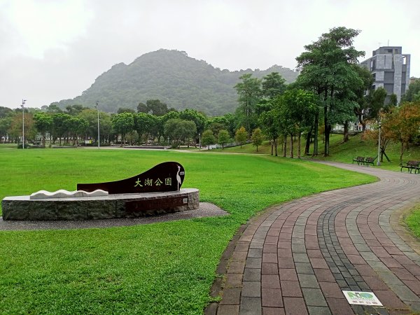 大湖公園 (防災公園)、台大椰林步道、大安森林公園《瘋狂愛尋寶》【南山神壽任務】【走路趣尋寶】1886499