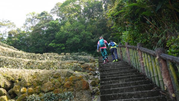 猴山岳縱走二格山登山健行趣(小百岳17號)1539271