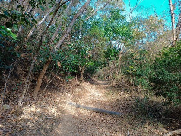 大肚環保公園登山步道(南＋北段Ｏ形)2443523