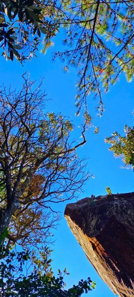 111.12.10 鳶嘴山-稍來山 A進B出1946810