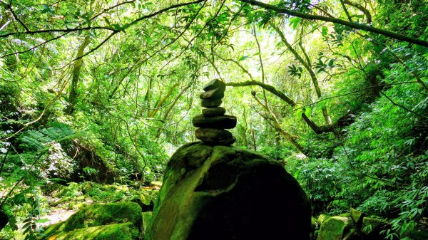 中坑古道東山西山2896478