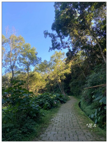 鳳凰谷鳥園步道2695895