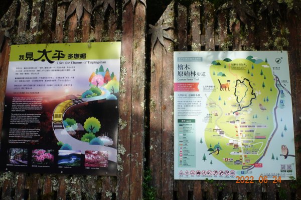 宜蘭 大同 太平山森林遊樂區1743625