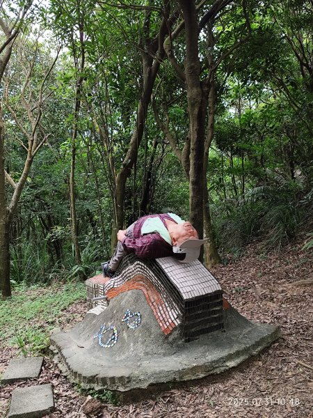 大湖公園→大溝溪生態治水園區→圓覺寺步道→圓覺瀑布→圓覺寺→鯉魚山步道【臺北大縱走 4、臺北健走趣】2849149