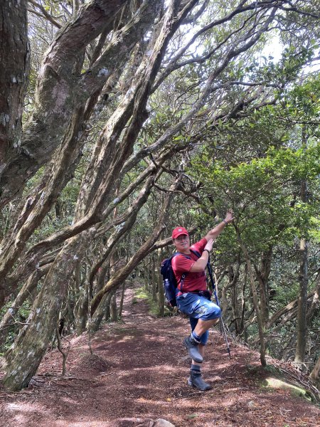 20220618_大坪登山口上加里山1749720