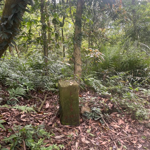 20250407_關刀山步道（苗栗小百岳）2855748