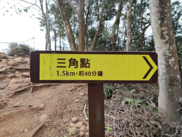 1140206火炎山3097954