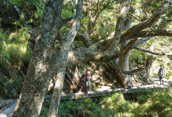 玉山北峰～讓我爬到流淚的碎石坡1796109