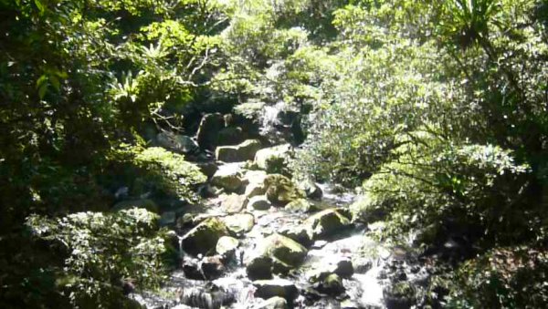 山林美境：滿月圓國家森林遊樂區處女瀑布1116105