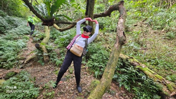 20260117淡蘭北路三段隆嶺古道+雪山尾稜北段+福卯古道大O走2990087
