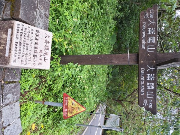 小百岳集起來大崙頭尾山親山步道3127371