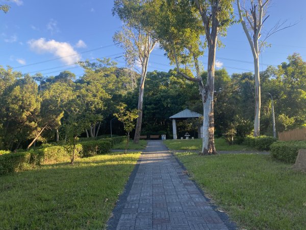 【四獸山 Short】虎豹象先行！獅山封閉中，等新步道開箱再相見2888866