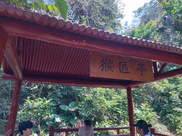 北柴山秘境之旅2754372