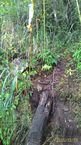 20151213尖石鄉屯野台山石麻達山28023