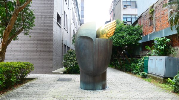 加羅林魚木,松菸文創園區3038161