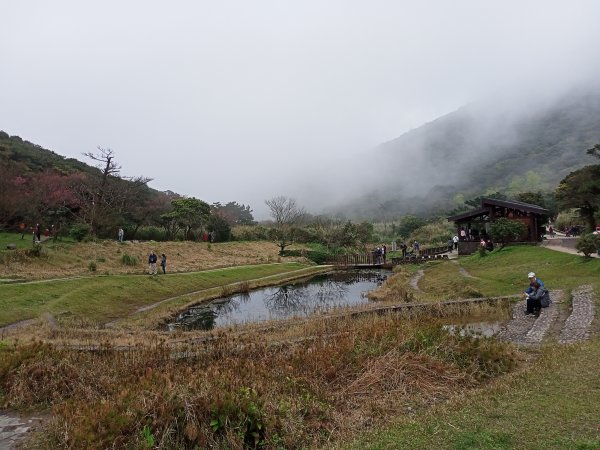 【臺北大縱走 1】二子坪→面天山→清天宮1274581