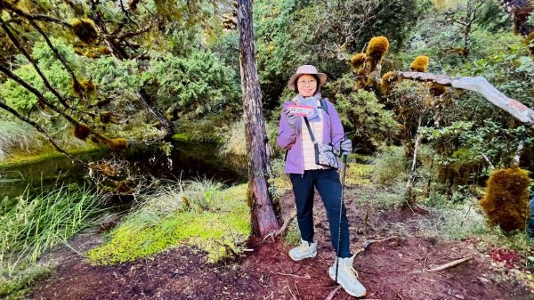 🌈11/29(六)-30(日)空靈系秘境~太平山-三星山(小百岳)⛰️+三星池~🌈2952240