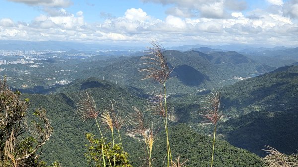 風和日麗來去烏來三山享受森林芬多精2984350