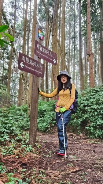 神阿縱走~台灣難抵極~大塔山2971399