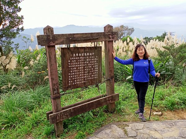 【小百岳集起來】土庫岳芒花飄逸、楓紅絢麗1221962