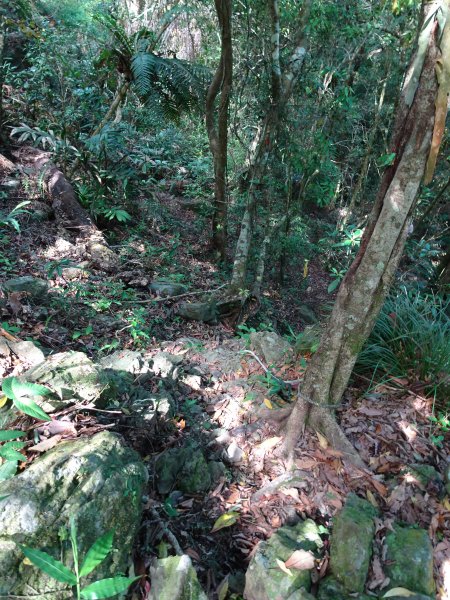 台灣小百岳第69座高雄甲仙白雲山之三角點993574