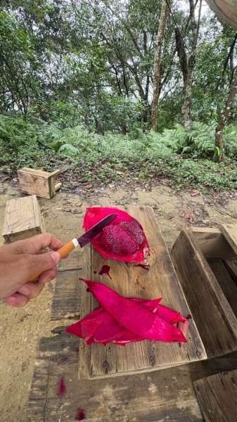 太、清、石2994656