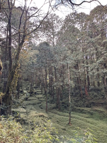 20260212回嘉遊的大塔山2999897