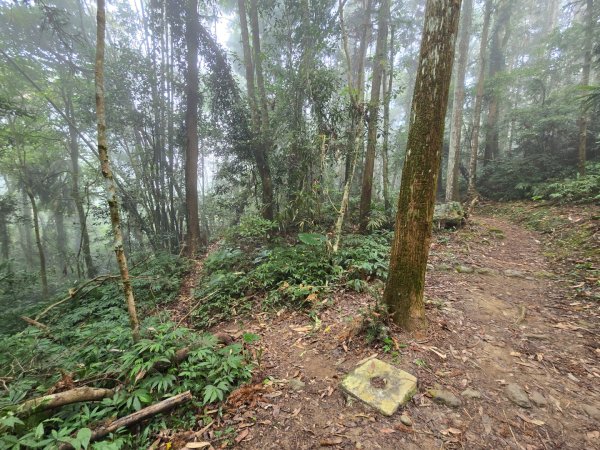 馬那邦山之雲海／雲瀑／楓紅／太陽琉璃光2668311