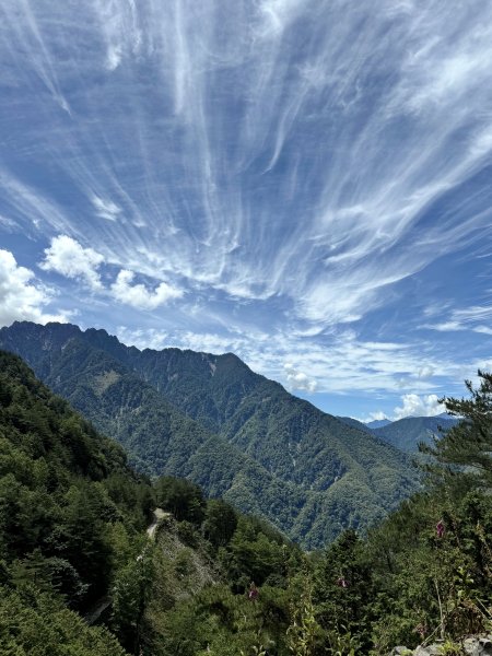 塔塔加楠梓仙溪林道 202506222827111