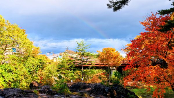 岩手縣嚴美溪2930214