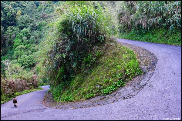 一座鳥山 ~ 金柑樹山 (小百岳)344574