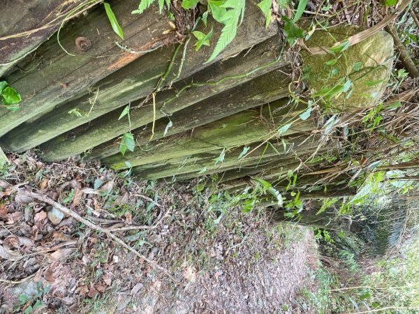 烏來福巴越嶺-札孔溪2911548